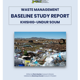 Ecosoum waste management