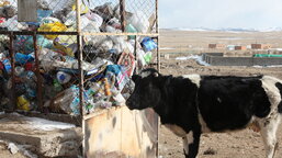 Бид эх дэлхийдээ ямар хөрөнгө оруулалт хийж байна вэ?