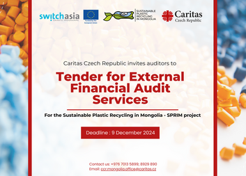 Tender for External Financial Audit Services